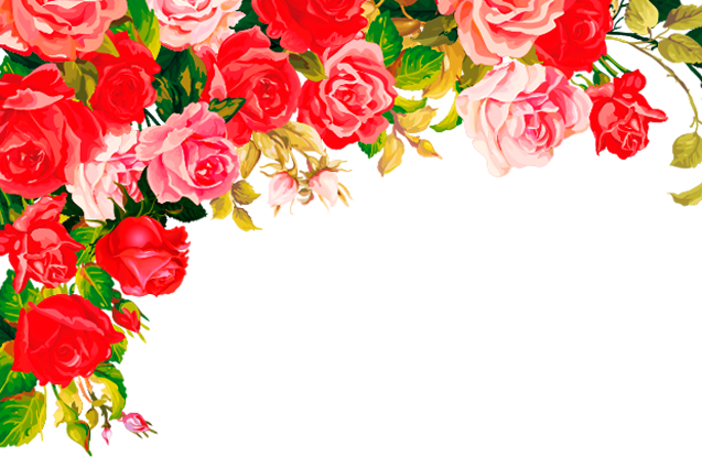 My Image