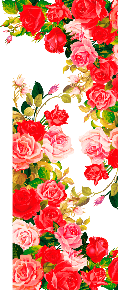 My Image